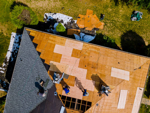 Quick and Trustworthy Emergency Roof Repair Services in Mulberry, FL